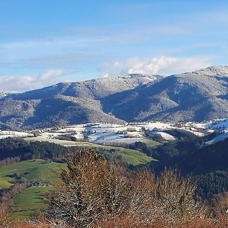 Ferienwohnung Birkental Ebringen Zewnętrze zdjęcie