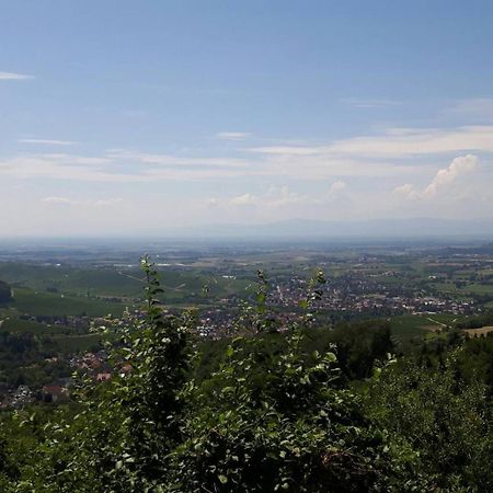 Ferienwohnung Birkental Ebringen Zewnętrze zdjęcie