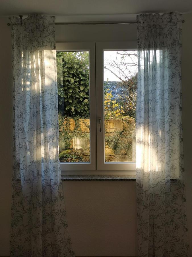 Ferienwohnung Birkental Ebringen Zewnętrze zdjęcie