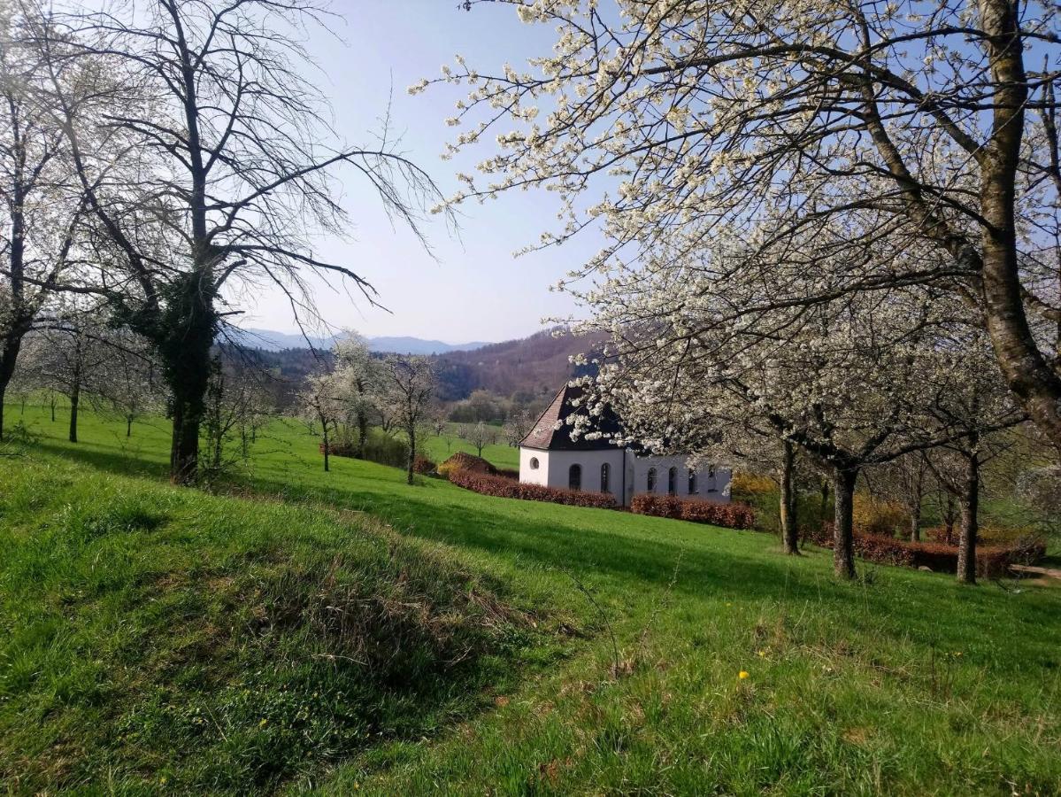Ferienwohnung Birkental Ebringen Zewnętrze zdjęcie