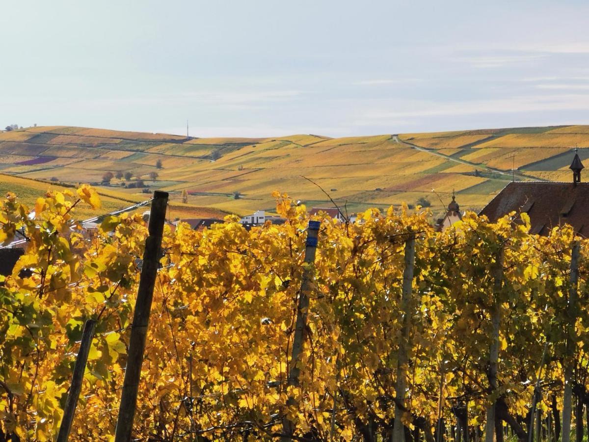 Ferienwohnung Birkental Ebringen Zewnętrze zdjęcie