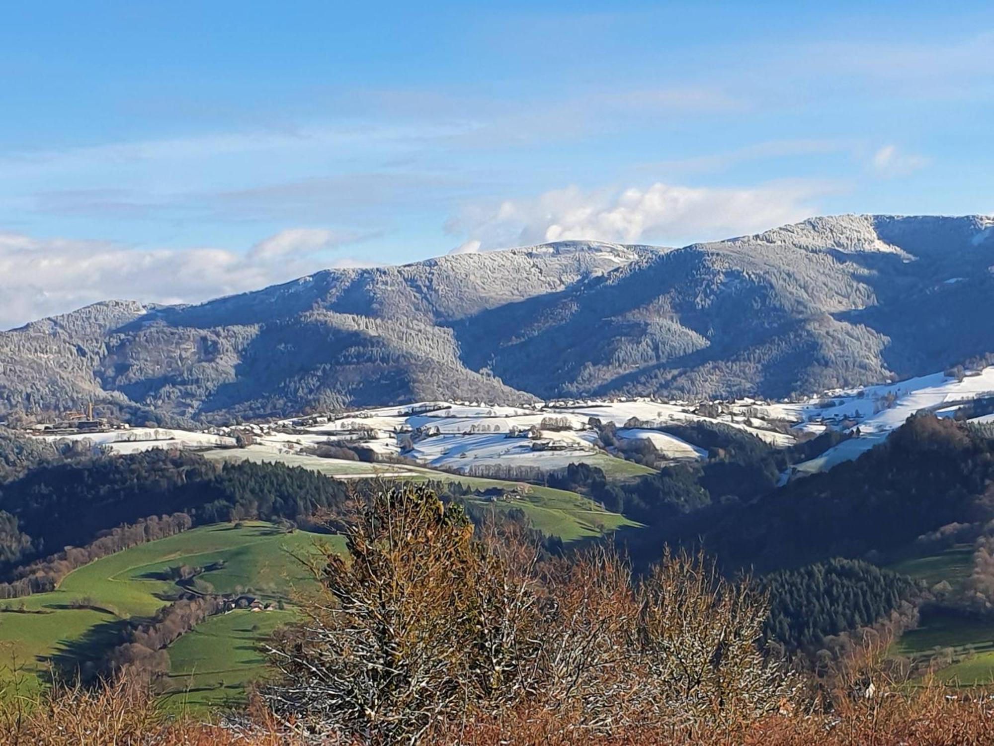 Ferienwohnung Birkental Ebringen Zewnętrze zdjęcie
