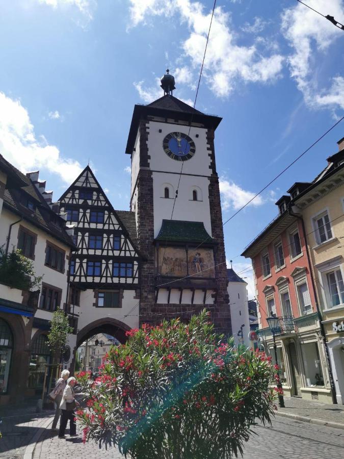 Ferienwohnung Birkental Ebringen Zewnętrze zdjęcie