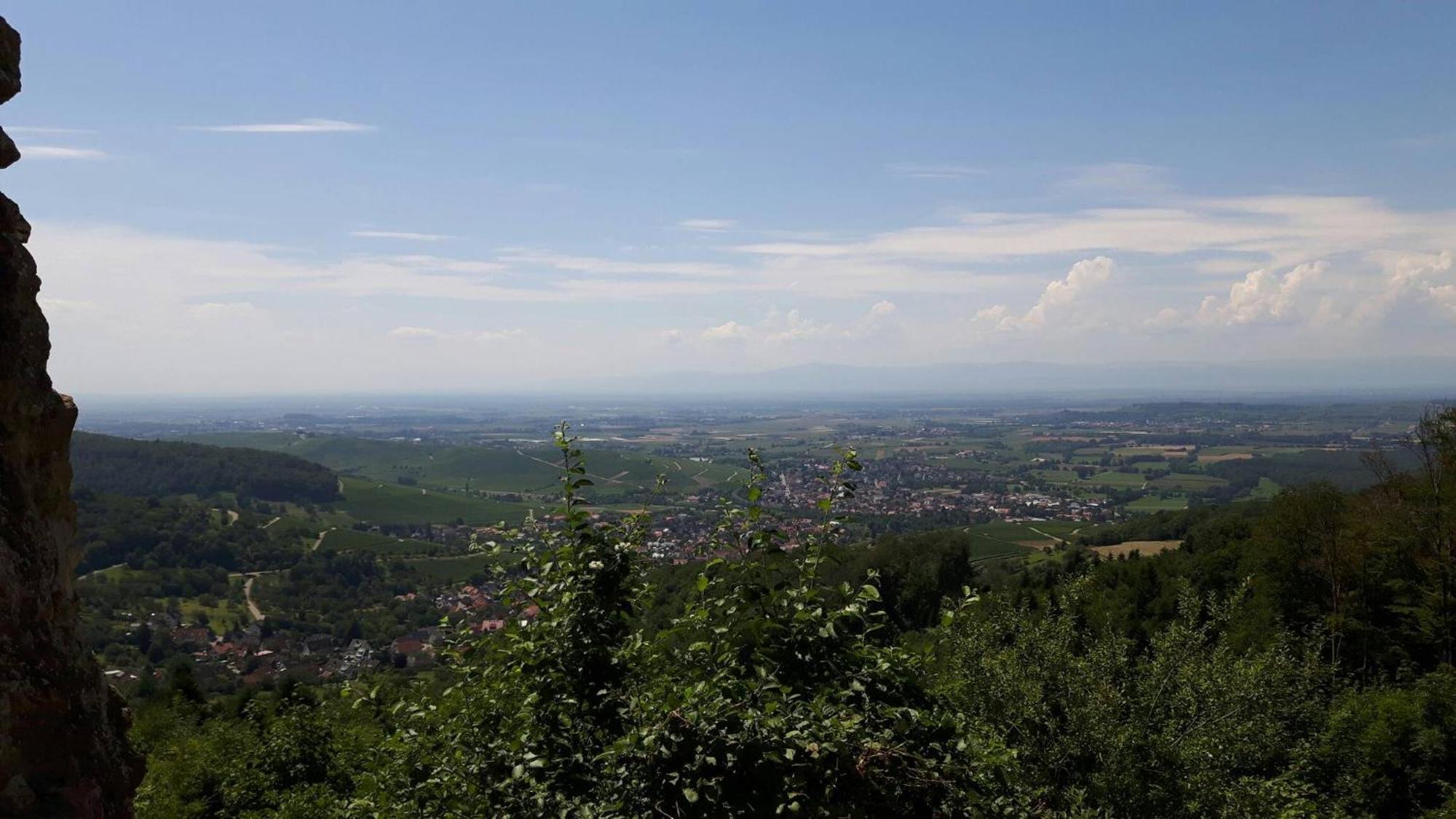 Ferienwohnung Birkental Ebringen Zewnętrze zdjęcie