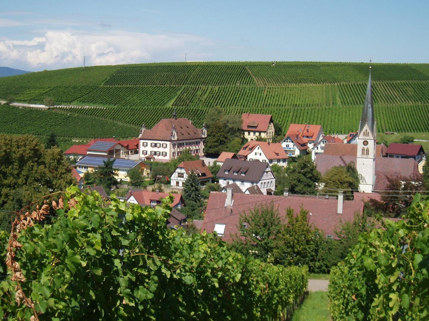 Ferienwohnung Birkental Ebringen Zewnętrze zdjęcie